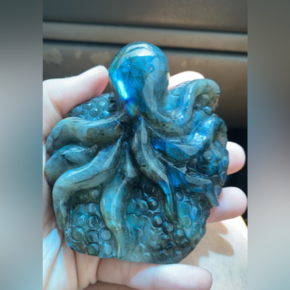 Lab octopus ( SOLD ) - Picture 3 of 3